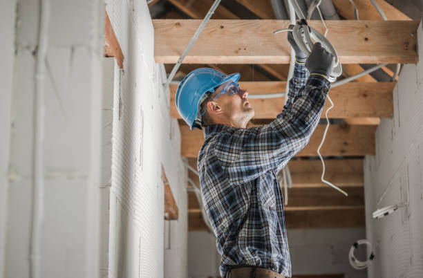 Best Electrician for Home Renovation  in Lake Hamilton, FL