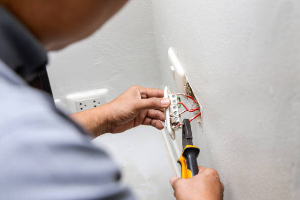 Best Licensed Electrician  in Lake Hamilton, FL